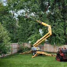 Best Fruit Tree Pruning  in Mount Hore, WI