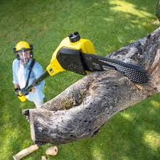 Best Pest Control for Lawns  in Mount Hore, WI