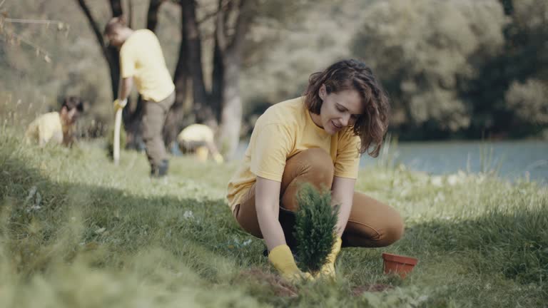 Best Tree Preservation Services  in Mount Hore, WI