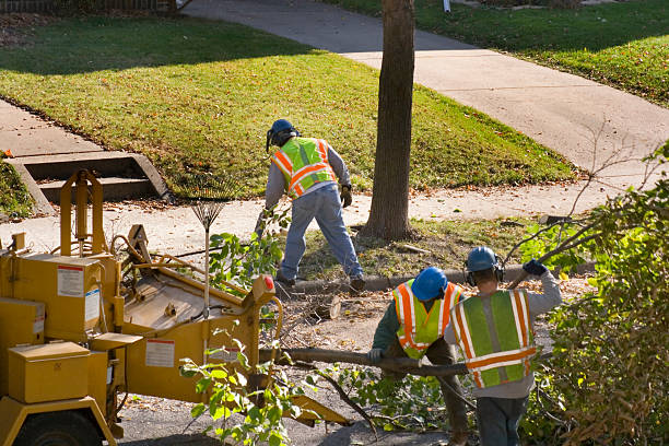 Best Lawn Pest Prevention  in Mount Hore, WI