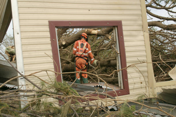 Trusted Mount Hore, WI Tree Services Experts