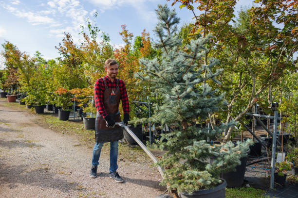 Best Soil Testing and Treatment  in Mount Hore, WI